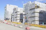 Holz_5_1_4_29.jpg