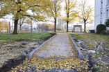 Park_Harburger_Schlossinsel20.jpg
