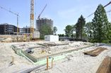CSH_Case__Study_Hamburg15.jpg