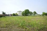 Park_Harburger_Schlossinsel05.jpg