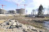 CSH_Case__Study_Hamburg12.jpg