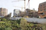 Holz_5_1_4_21.jpg