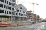 Haus_der_Inselakademie23.jpg