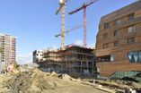Holz_5_1_4_19.jpg