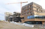 Holz_5_1_4_23.jpg