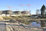 CSH_Case__Study_Hamburg10.jpg