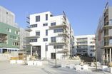 Holz_5_1_4_31.jpg